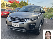 2019 ランドローバー レンジローバーイヴォーク SE買取実績