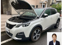 2019 プジョー 3008 GT B.HDI 8AT買取実績